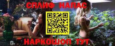 гашик Бийск