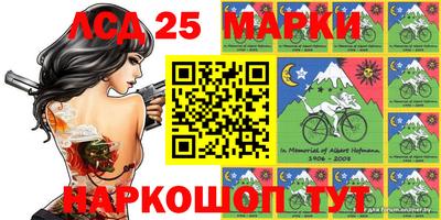 гашик Бийск