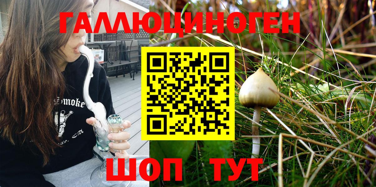 Галлюциногенные грибы ЛСД  Галлюциногенные грибы Psilocybine cubensis  Партизанск 