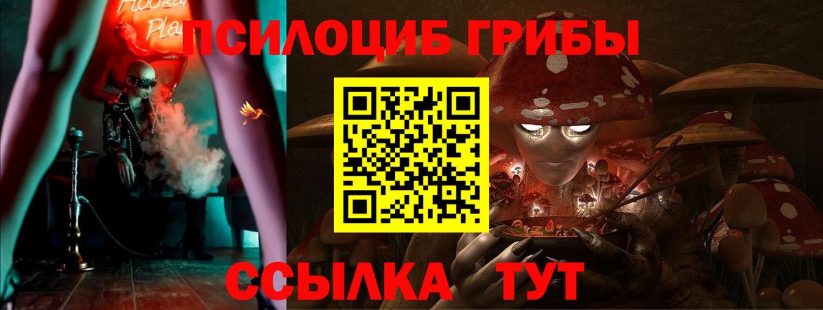 Псилоцибиновые грибы GOLDEN TEACHER  Вход с VPN  Псилоцибиновые грибы Cubensis  Партизанск 