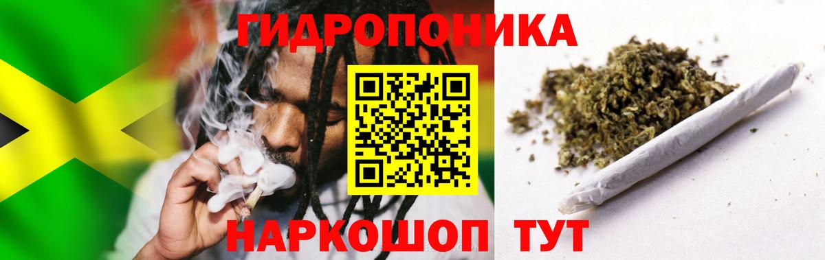 Марихуана Bruce Banner Партизанск